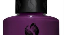 Seche Clever Confidential