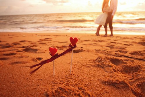 fot. shutterstock
