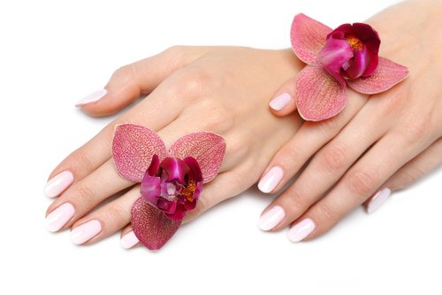 fot.shutterstock