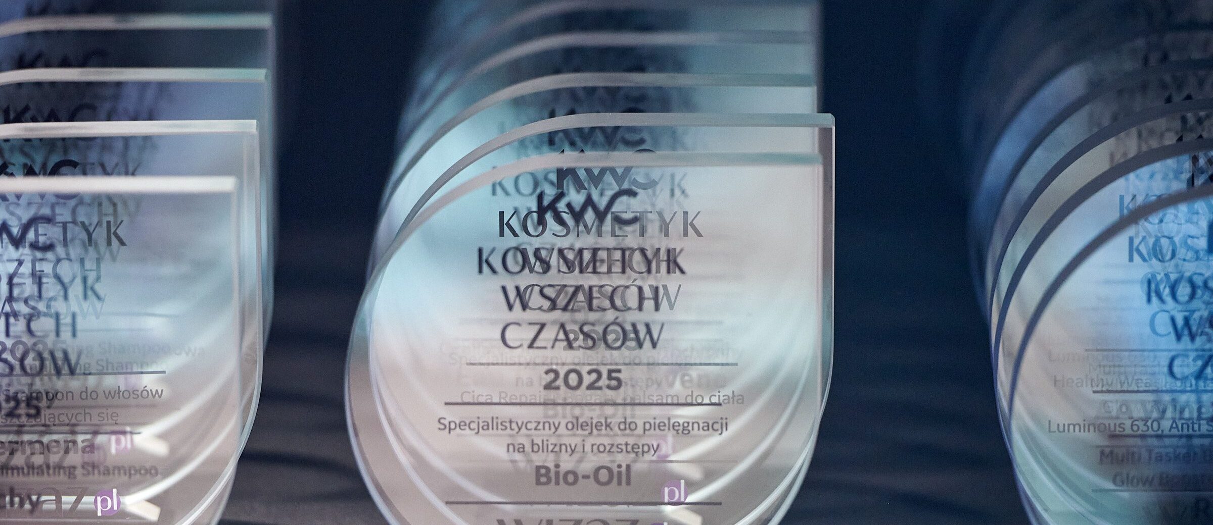 Nie uwierzysz, kto zdobył tegoroczne nagrody KWC – sprawdź listę zwycięzców!